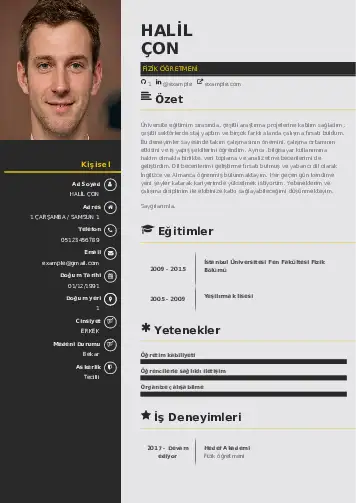 Fizik Öğretmeni CV Örnekleri cv indir